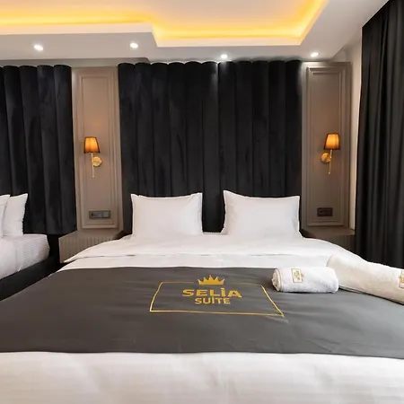 Selia Aparthotel 4*